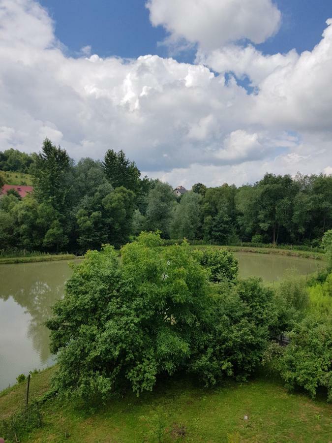 Na Stawach Pension Stryszow Buitenkant foto