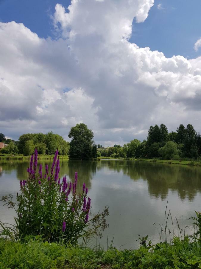 Na Stawach Pension Stryszow Buitenkant foto